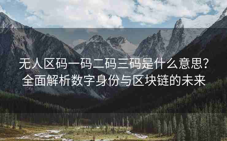 无人区码一码二码三码是什么意思？全面解析数字身份与区块链的未来
