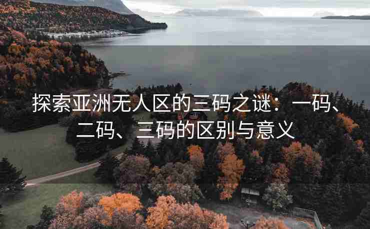 探索亚洲无人区的三码之谜：一码、二码、三码的区别与意义