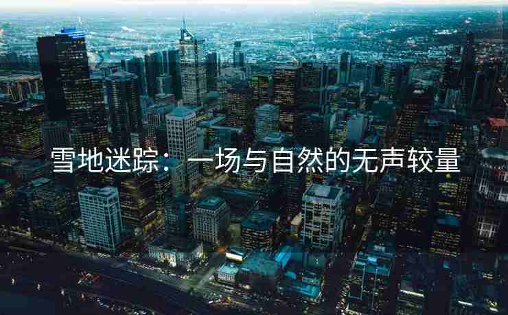 雪地迷踪：一场与自然的无声较量